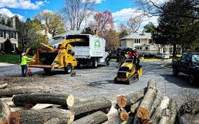 Best Lawn Mowing  in Bardstown, KY