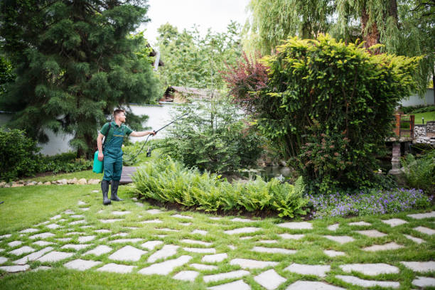 Best Tree Mulching  in Bardstown, KY