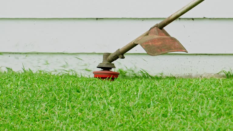 Best Soil Testing and Treatment  in Bardstown, KY
